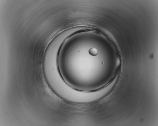 X0000112880946200908281634