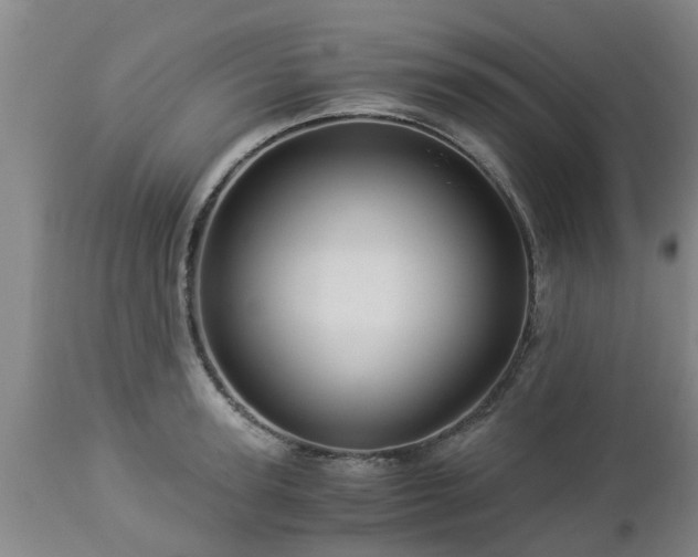 X0000112880947200908281634