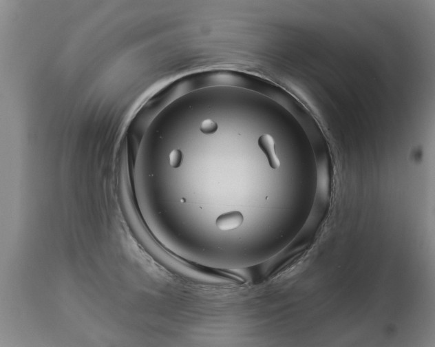 X0000112880948200908281634