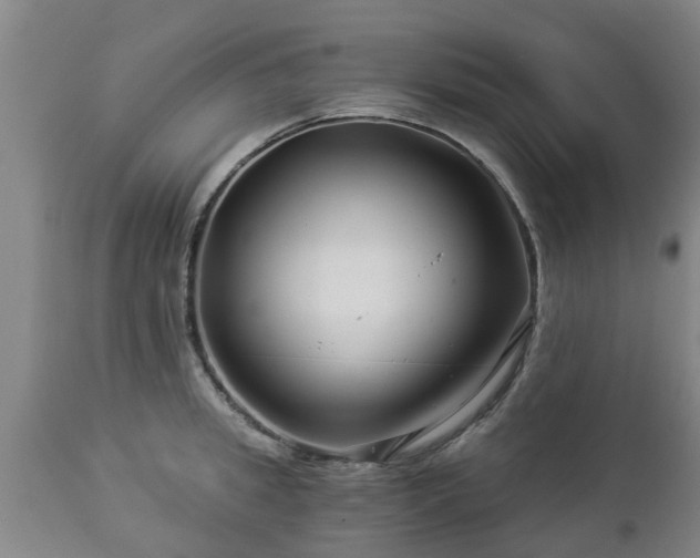 X0000112880949200908281634