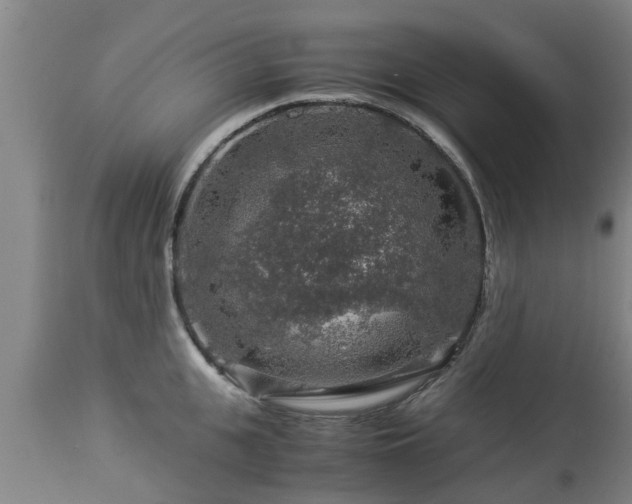 X0000112880951200908281634