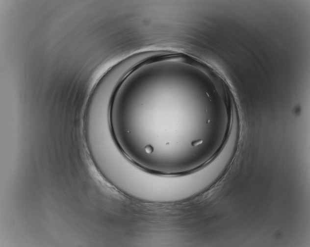 X0000112880952200908281634