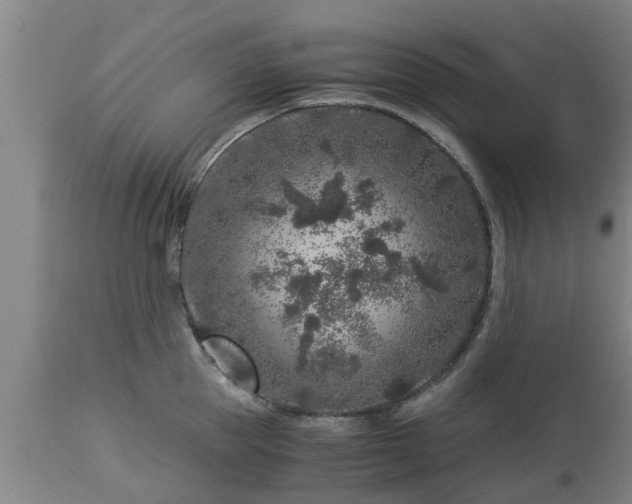 X0000112880953200908281634