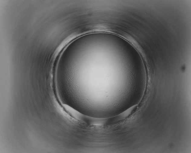 X0000112880955200908281634