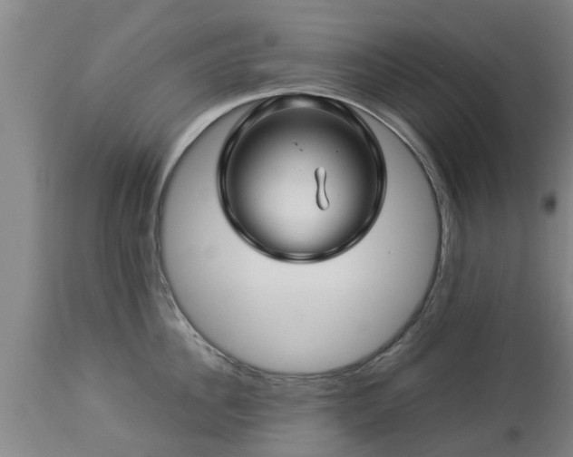 X0000112880956200908281634