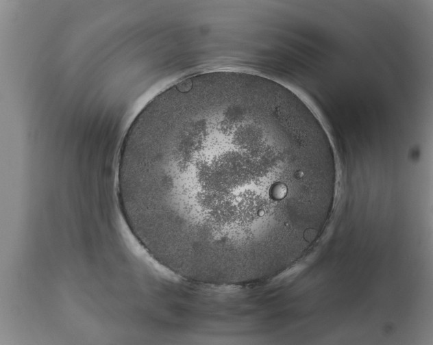 X0000112880957200908281634