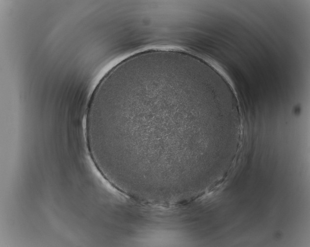 X0000112880959200908281634