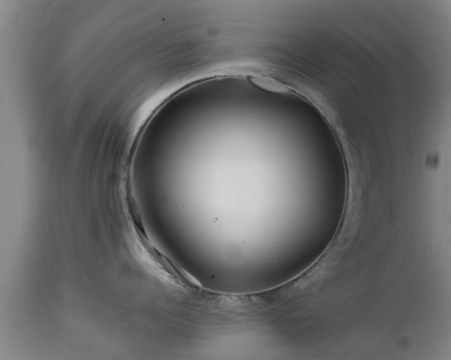 X0000112880960200908281634