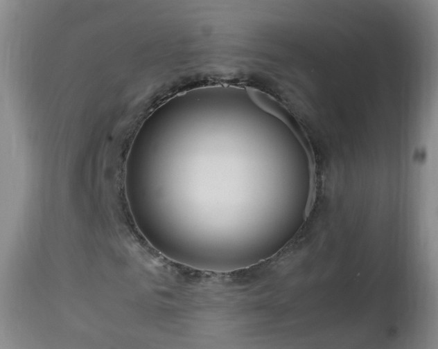 X0000112880961200908281633