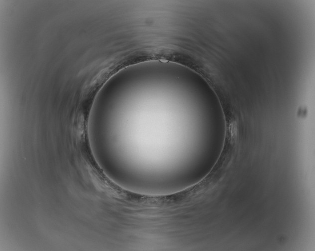 X0000112880963200908281633