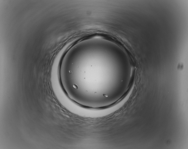 X0000112880965200908281633