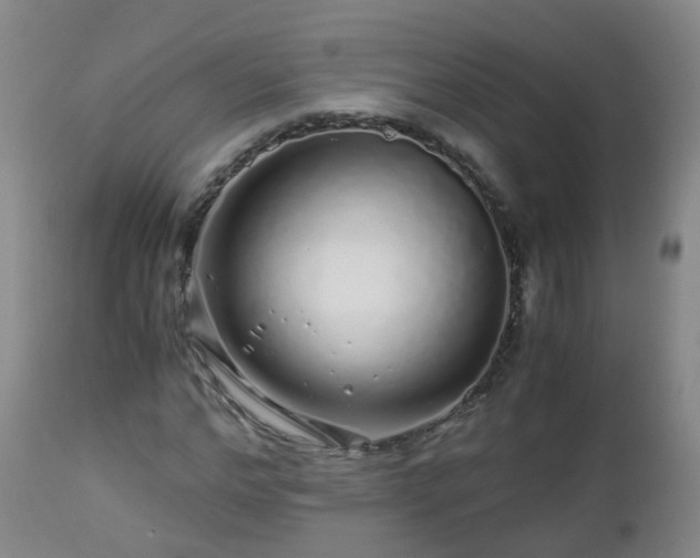 X0000112880968200908281633