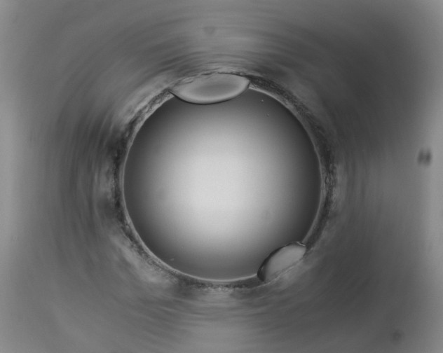 X0000112880969200908281633