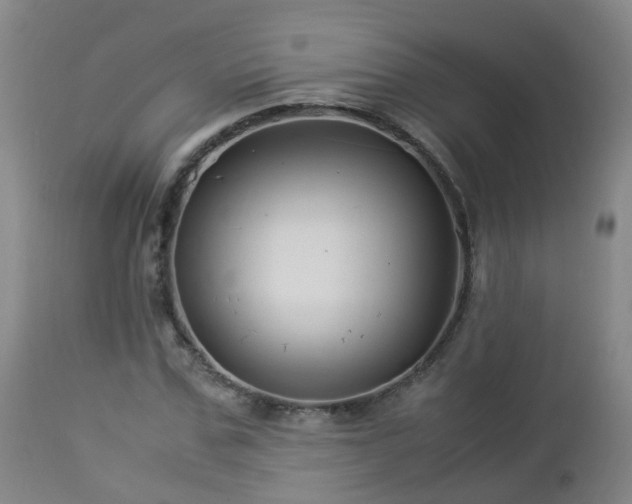 X0000112880971200908281633