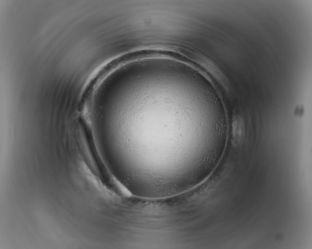 X0000112880972200908281633