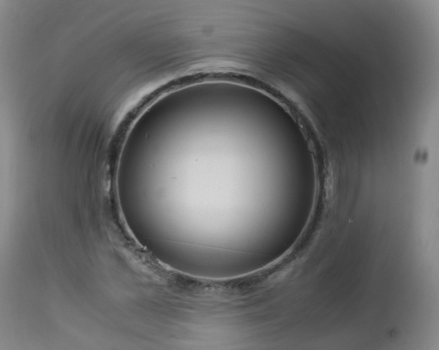 X0000112880973200908281633