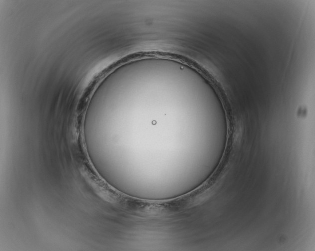 X0000112880974200908281633