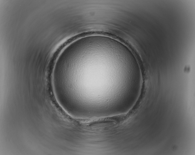 X0000112880975200908281633