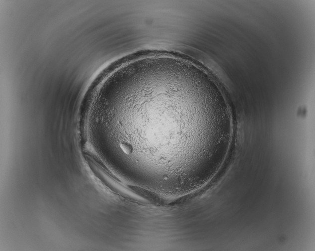 X0000112880976200908281633