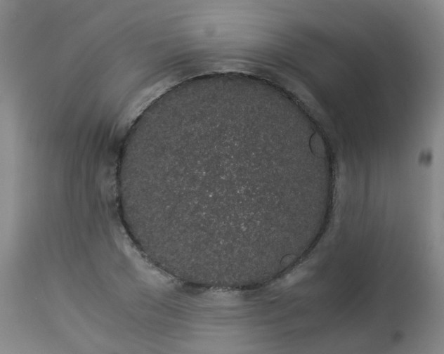 X0000112880977200908281633