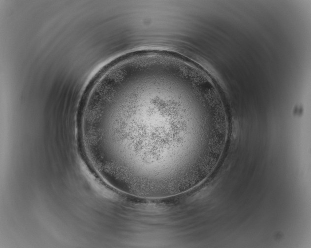 X0000112880980200908281633