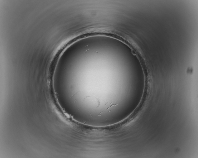 X0000112880981200908281633