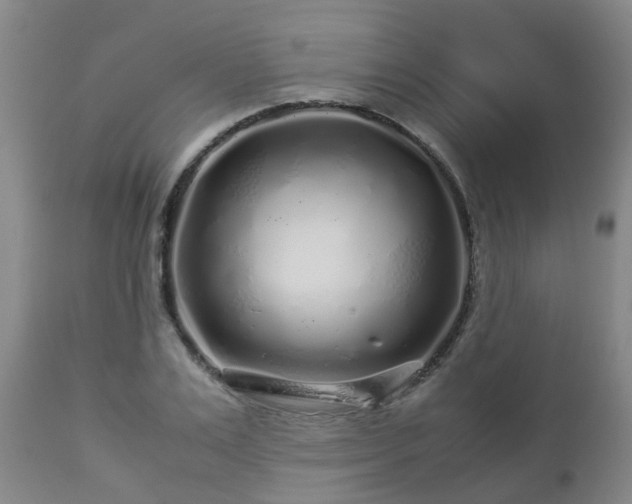 X0000112880983200908281633