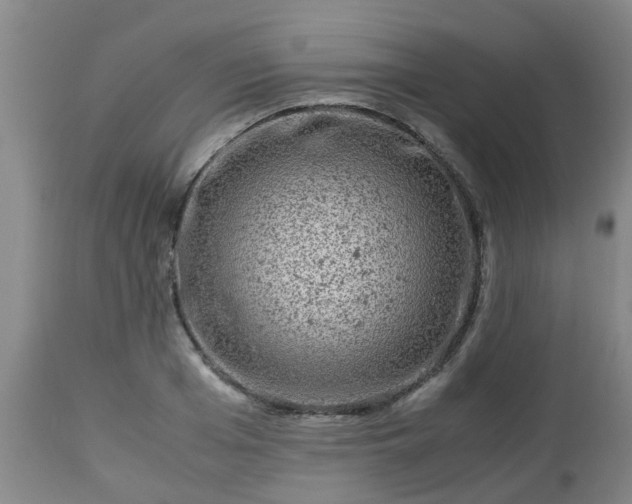 X0000112880985200908281633