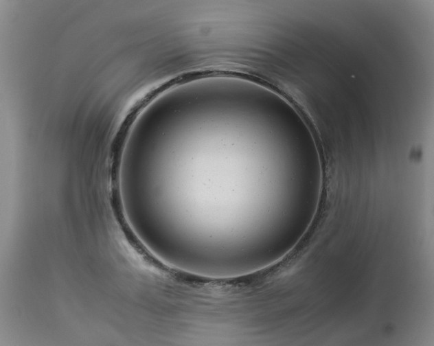 X0000112880987200908281633