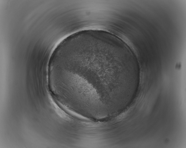 X0000112880988200908281633