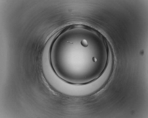 X0000112880993200908281633