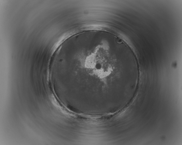 X0000112880994200908281633