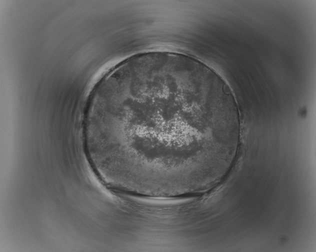 X0000112880995200908281633