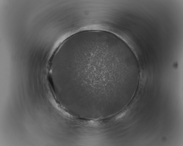 X0000112880998200908281633