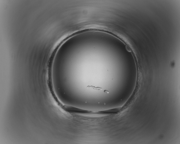 X0000112880999200908281633