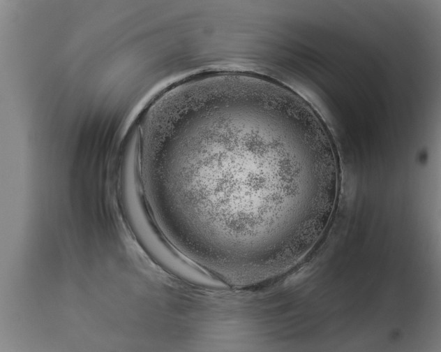 X0000112881000200908281633