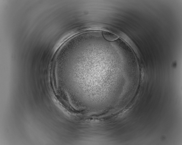 X0000112881002200908281633