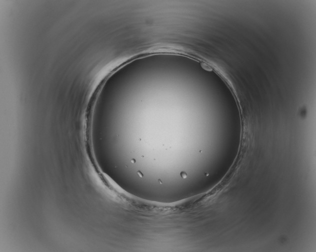 X0000112881003200908281633