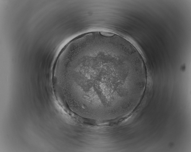 X0000112881004200908281633