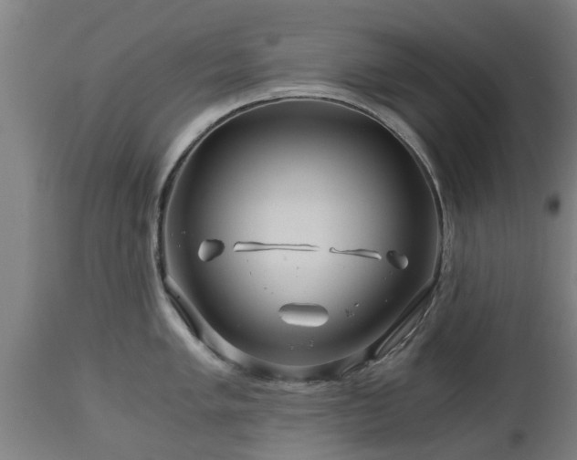 X0000112881005200908281632