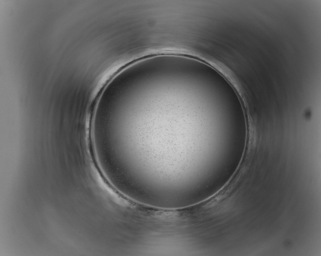 X0000112881006200908281632