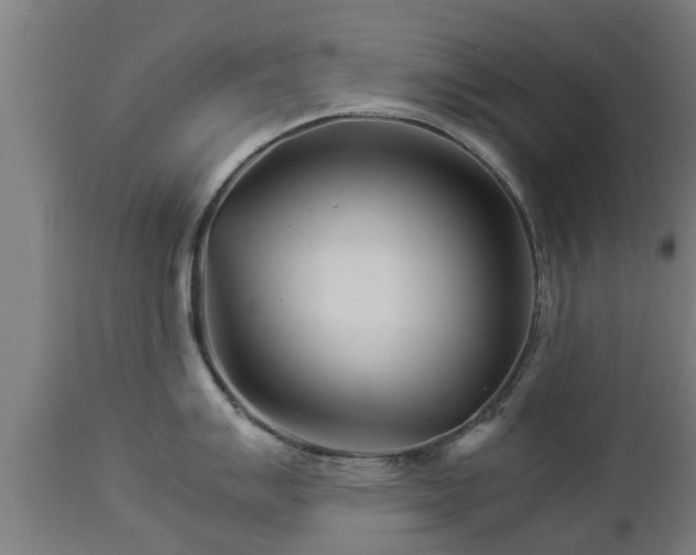 X0000112881007200908281632