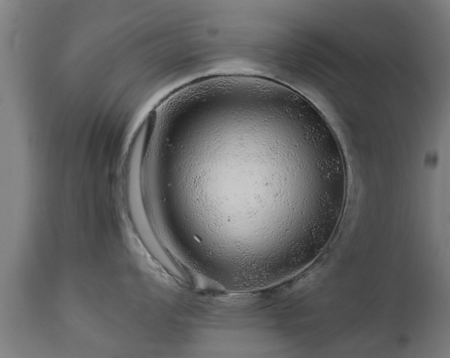 X0000112881008200908281632