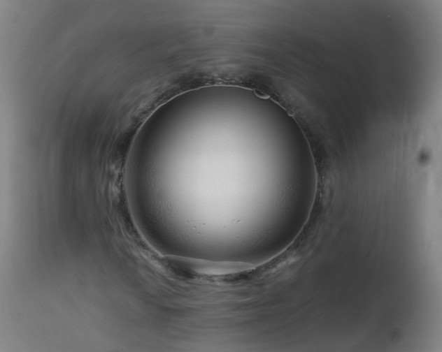 X0000112881010200908281632