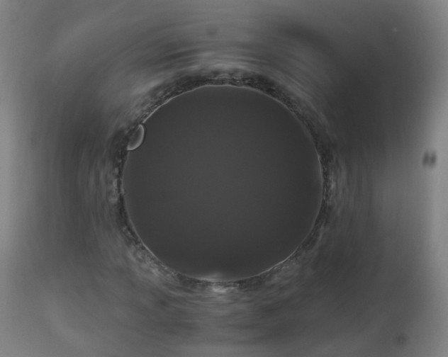 X0000112881013200908281632