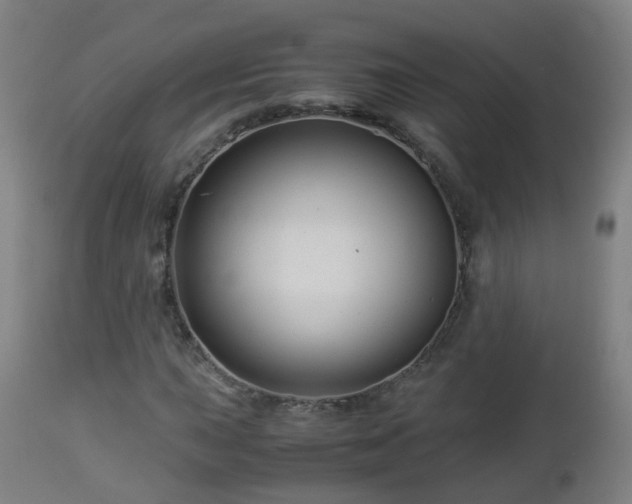 X0000112881015200908281632