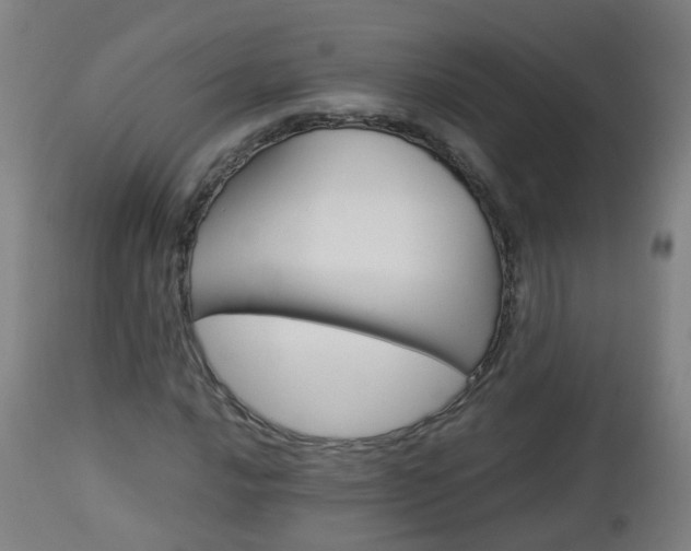 X0000112881016200908281632