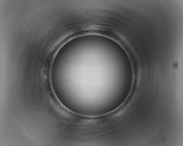 X0000112881017200908281632