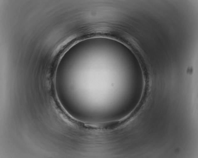 X0000112881018200908281632