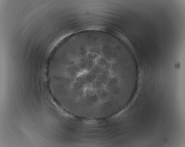 X0000112881019200908281632